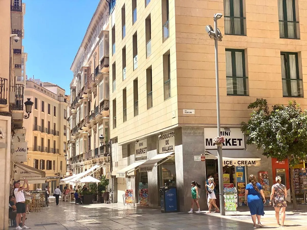 Historic Center Cathedral Apartment Malaga 0*,