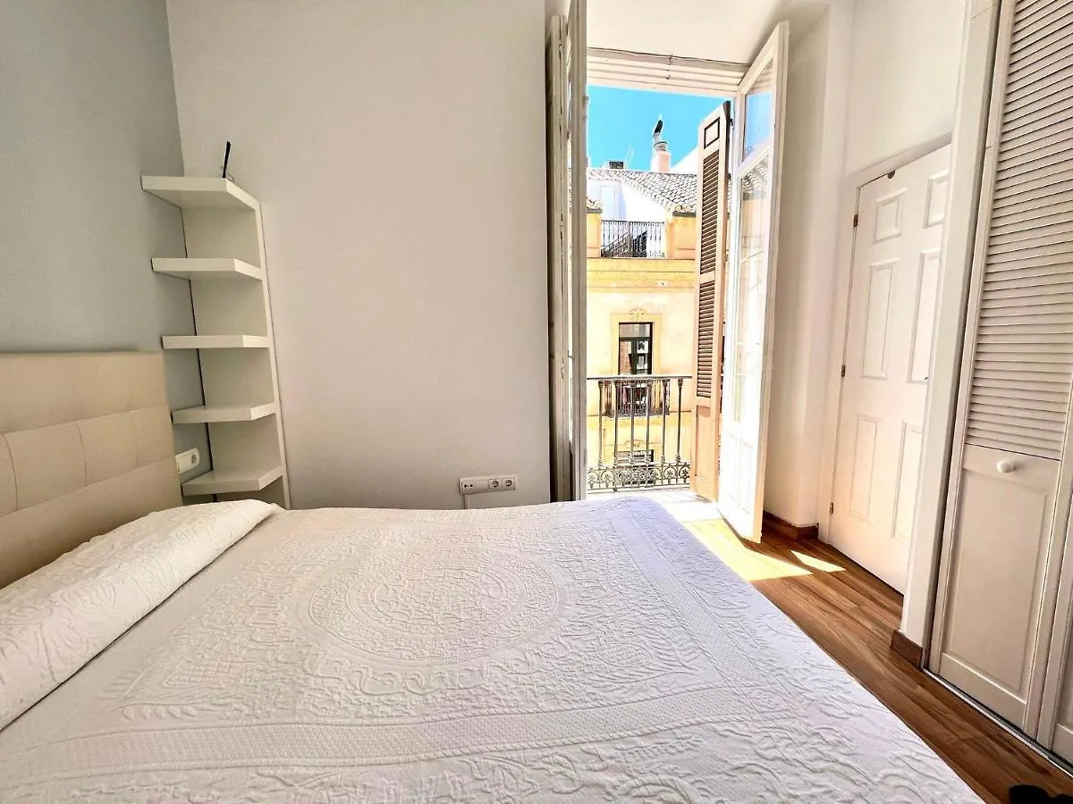 Historic Center Cathedral Apartment Malaga 0*,  Spain